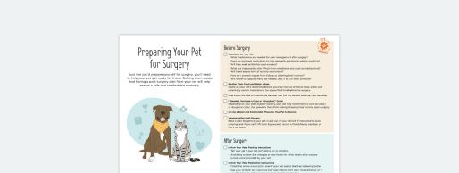 エキゾチックアニマルの薬用量マニュアル エキゾチックアニマルの薬用量マニュアル Amazon.co.jp