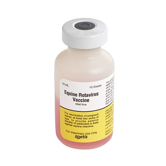 Arvac Equine Arteritis Vaccine 10 dose (10 x 1 mL)