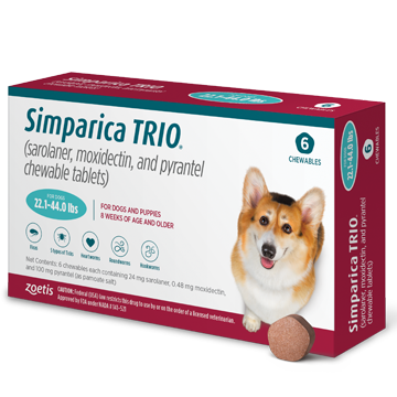 Simparica ear shop mites