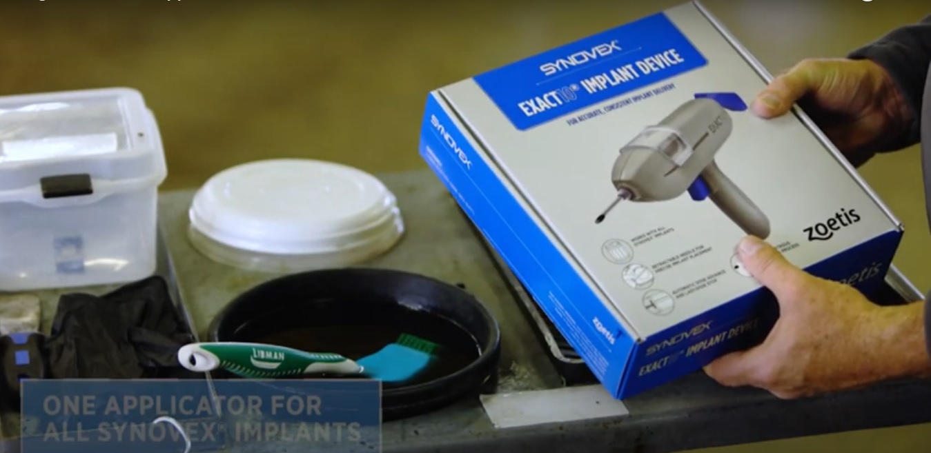 Boosting Livestock Production: The Role of Synovex Implants