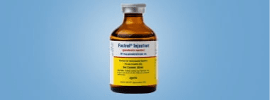Factrel Zoetis