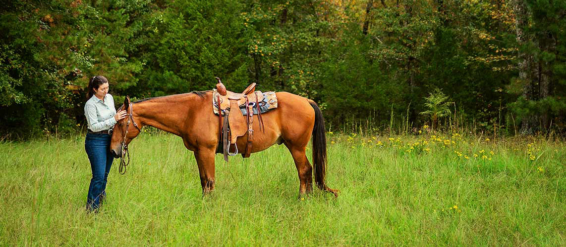 Horses