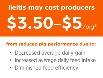 Graphic stating “Ileitis may cost producers $3.50–$5 per pig from reduced pig performance due to:” followed by icons indicating decreased average daily gain, decreased feed efficiency, and increased pig mortality.