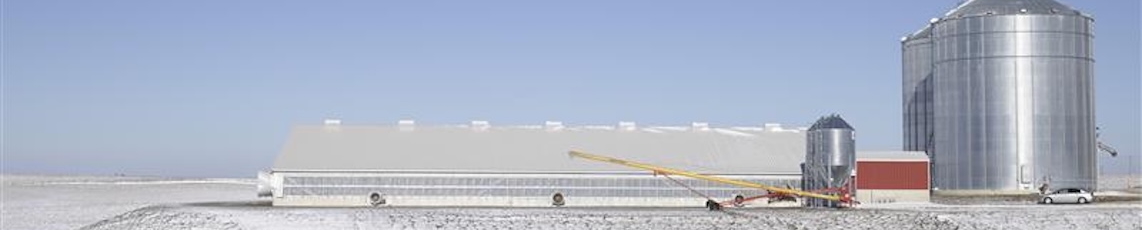 Winter Barn Management for Pigs