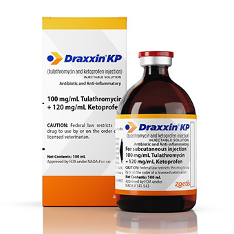 Dr.LAB INJECTION Treatment 500g 2個 Dr.LAB INJECTION Treatment 500g 2個