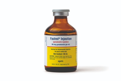 Fetrend Injection Zoetis